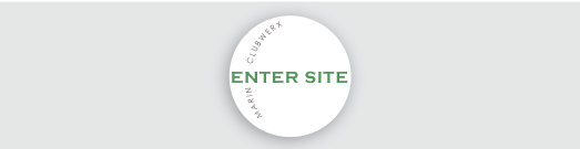 enter site